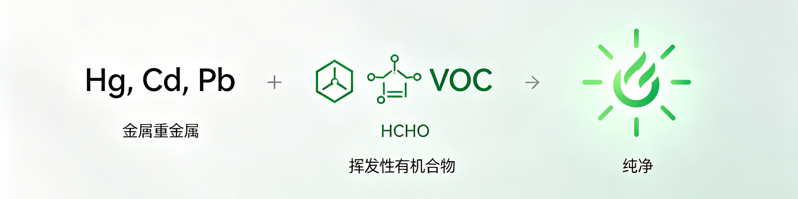 白天鹅.png