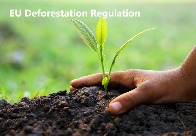 EUDR欧盟零毁林法案